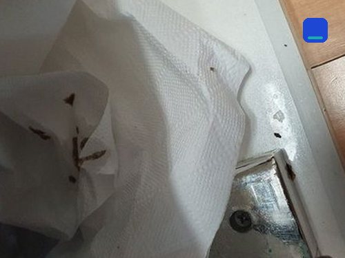 부산 중구 · 통화 상담 이용 고객 글 사진