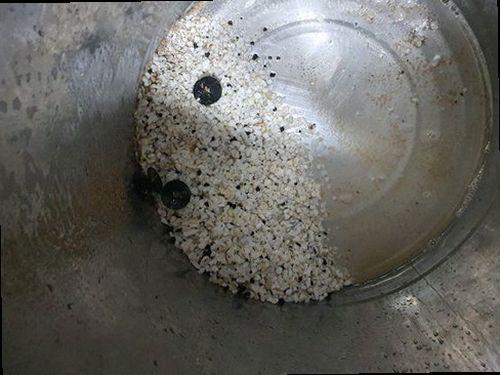 부산 중구 영주1동 하수구막힘 배수구 주변의 물 고임과 역류 흔적을 확인하는 현장